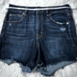 American Eagle Outfitters Blue Jean Shorts Relaxed Fit